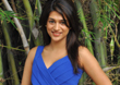 Shraddha Das Hot Photos